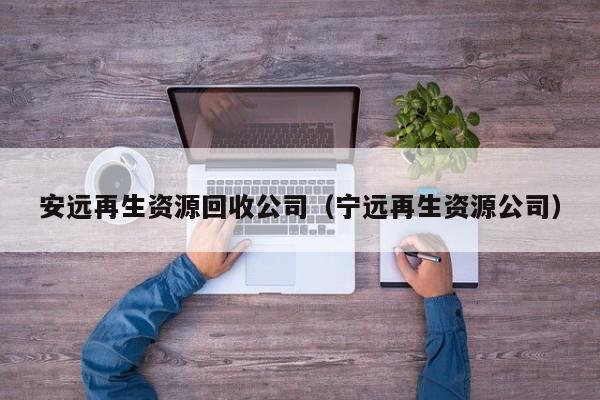 安远再生资源回收公司（宁远再生资源公司）