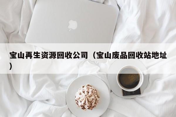 宝山再生资源回收公司（宝山废品回收站地址）